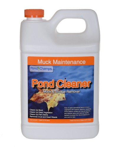 Pond champs - pond,