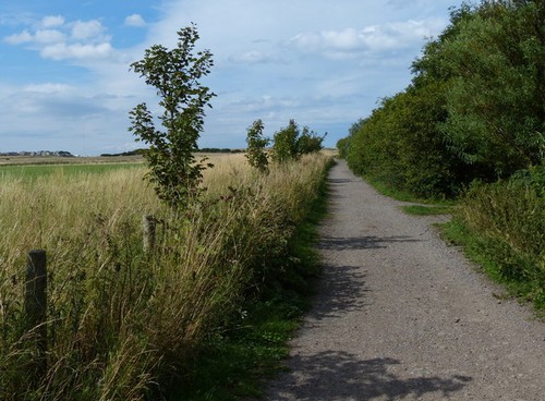 Photo 6x4 path and - path, cycleway
