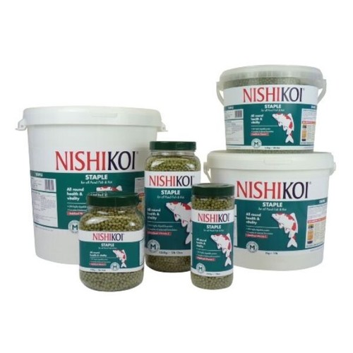 Nishikoi staple fish - nishikoi,