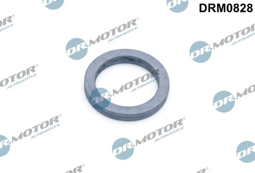 Gasket oil pump - oil,