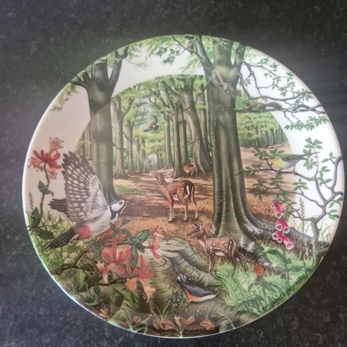 Wedgwood the beechwood - the, plate