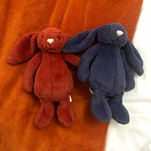 Jellycat bashful bunny - bashful, rabbits