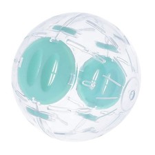  Guinea Pig Exercise Hamster