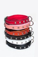 LEATHER SMALL DOG STUDDED