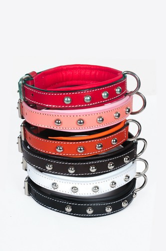 Leather small dog - leather,