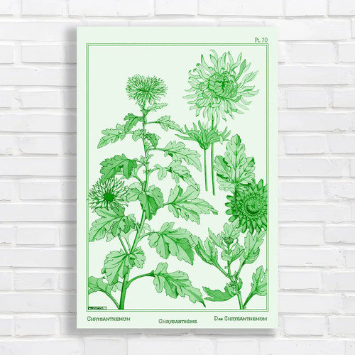 Vintage botanical - vintage,