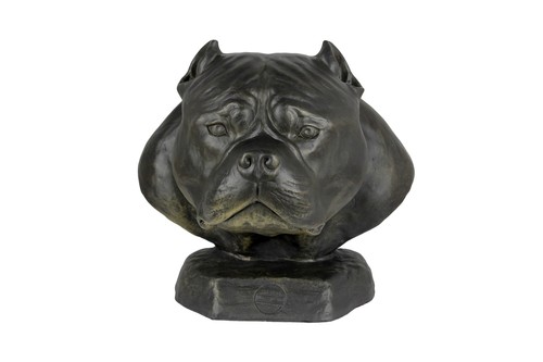 American bully harzurne - bully, art