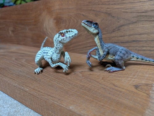 Rebor velociraptor couple rose - velociraptor,