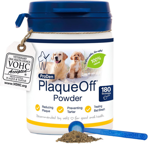 60g dental powder - powder, for