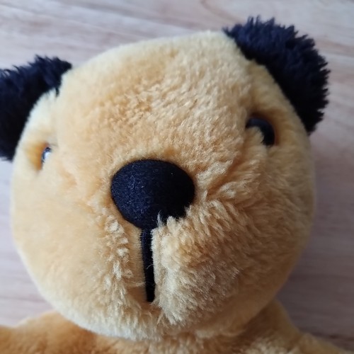 Sooty seeks adoption and - , care