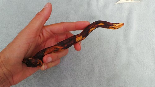 Wand fire born heather - wand, fire-born