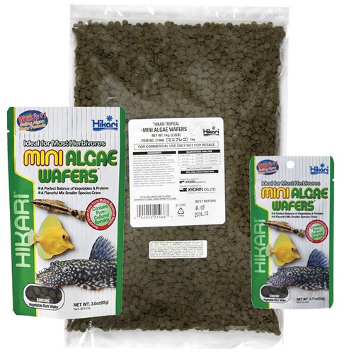 Hikari mini algae - wafers, fish