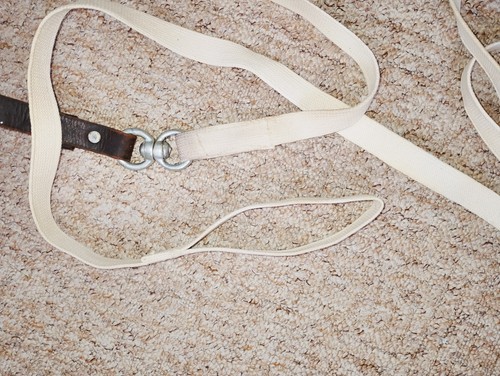 Inhand lead rein lunge - inhand, 5