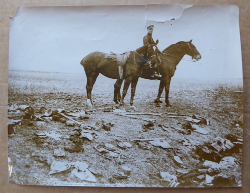 Mounted soldier horses - soldier, &