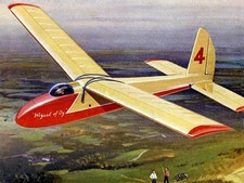 Wizard of Oz  ~ 48" RC Slope