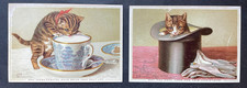 VICTORIAN GREETING CARDS  x  2 CATS KITTENS TEA CUP HAT
