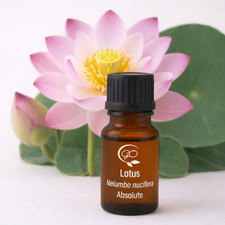 Lotus Absolute Pure (CO₂