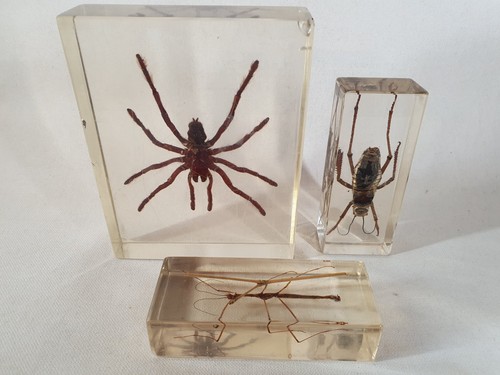 Clear lucite resin specimen - 3, lucite/resin