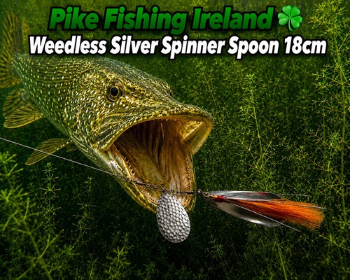 Pike fishing ireland new - ireland☘️,