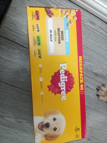 Mega pack pedigree - ,