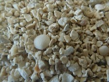 CRUSHED CORAL , CARIB SEA