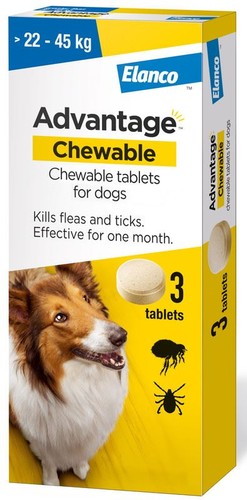 Dog flea and tick - and, treatment