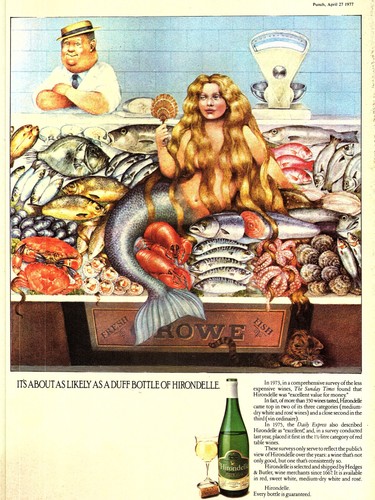 1977 advert for hedges - hedges, &