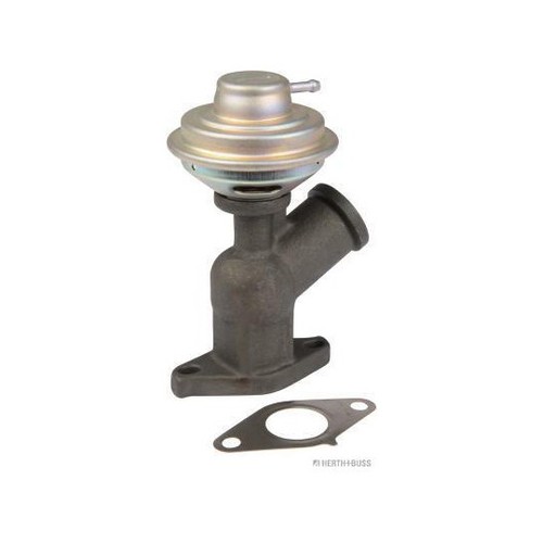 Egr valve for citroen berlingo - for,