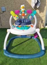 Fisher-Price Baby Bouncer
