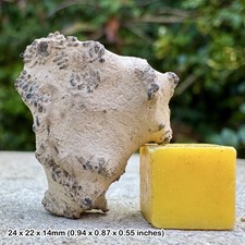 Trace Fossil Crab Faecal