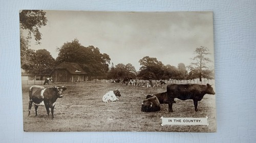 Great britain real photo - great, uk