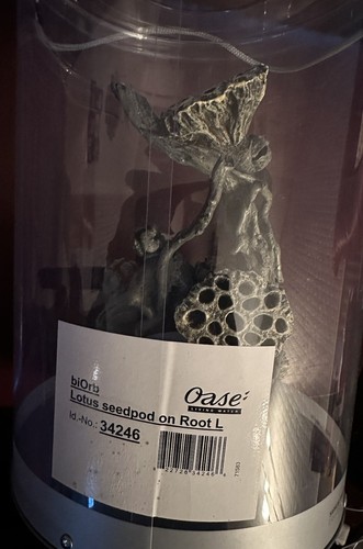 Biorb lotus seedpod - biorb, root