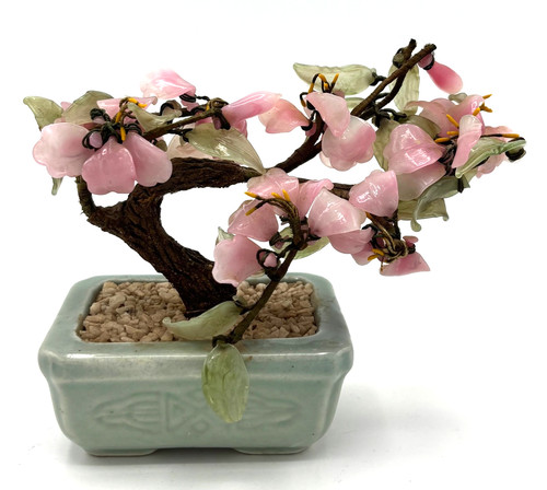 Bonsai tree glass - glass, cherry