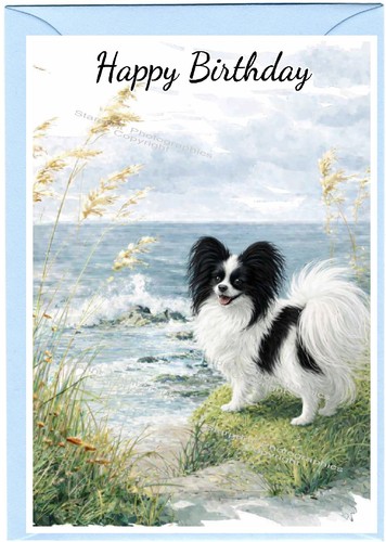 Papillon butterfly dog - papillon, (4"x