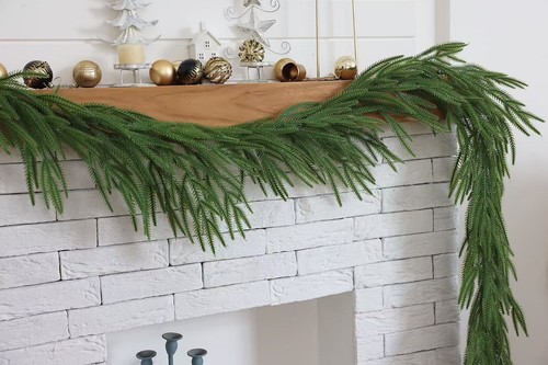 Luxury norfolk pine - 6,