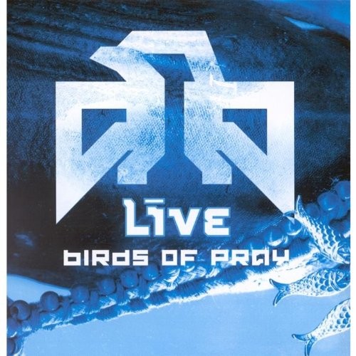 Live birds pray - birds, [bonus