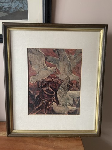 Seagull bird print - ,, framed
