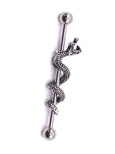Snake wrapped industrial - snake,
