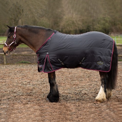 Gallop 50g standard neck - gallop,