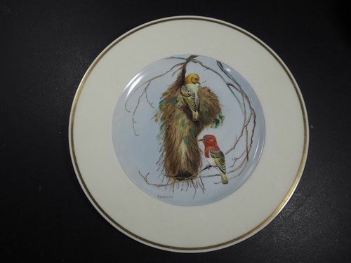 Wedgwood birds southern - wedgwood,