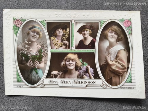 Miss vera wilkinson multiview - miss,