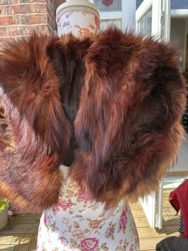 Vintage red fox - fox, cape
