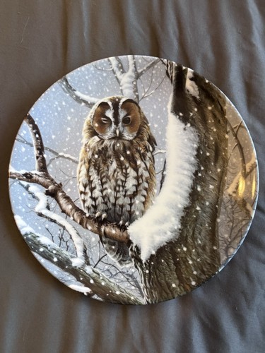 Danbury mint woodland winter - danbury,