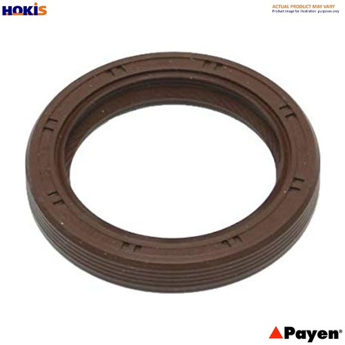 Shaft seal crankshaft na576 - crankshaft,