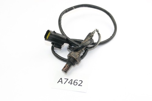 Triumph sprint 955i 2001 - 2001,