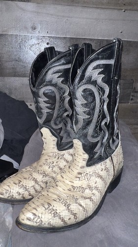 Snake skin laredo men - snake,