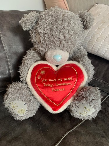 Teddy bear soft toy - teddy,