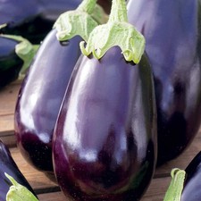 3x Aubergine (Egg Plant) Black