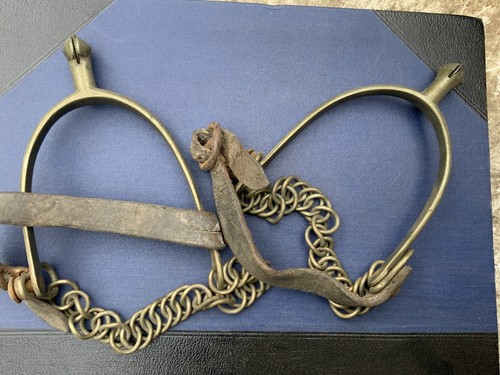 1900 boer war - 1900…boer, spurs