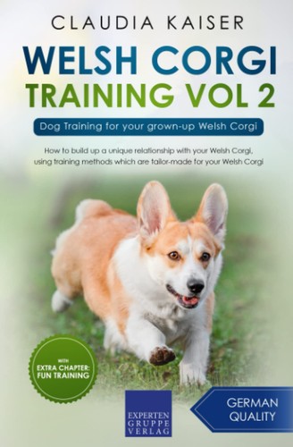 Welsh corgi training - corgi,